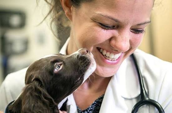 Zoonotic diseases and pets | American Veterinary Medical Association
