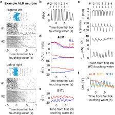 Les résultats du 2e tour des élections régionales sont riches d'enseignements : A Functional Cortical Network For Sensorimotor Sequence Generation Biorxiv