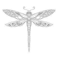If you love dragonfly coloring, you'll find lots of illustrations of this insect in this category. Simple And Realistic Dragonfly Coloring Pages 101 Coloring
