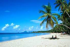 Meine top 10 martinique sehenswürdigkeiten. Was In Martinique Zu Tun Beste Touristenattraktionen