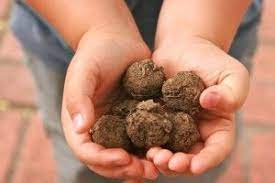 Earth Day Activity How To Make Seed Balls The Kidzui Blog Seed Balls Seed Balls Recipe Earth Day Activities