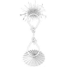 Pin On Noose With Flowers