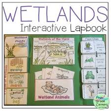Wetlands Lapbook Interactive Lapbooks Wetland Lapbook