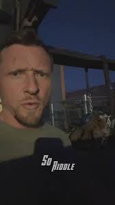 I couldn’t help but notice while working