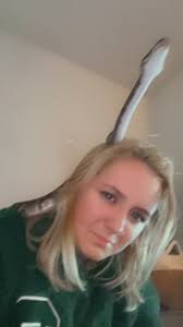 I'm thinking of converting a cabinet into a reptile enclosure. I’ve done a  bioactive setup for my crested gecko, but now I want a larger, modern  setup. I prefer wooden enclosures with glass doors for ...