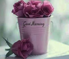 Check spelling or type a new query. Nature Flower Wallpaper Good Morning Photos Licth Nature Wallpaper Blog