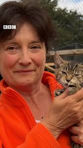 Family turn house into cat rescue centre