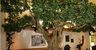 Pediatric Dental Office Lake Charles European Olive Tree Childrens Dental Health Month Pediatric Dental Office Childrens Dental Health