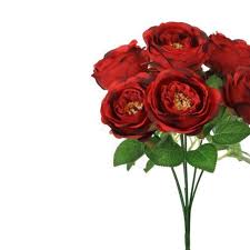 We did not find results for: Artificial Christmas Rose Bush Festive Red Rose Bush Shelf Edge Uk
