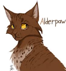 Alderpawww By Kamofalcon Deviantart Com On Deviantart Warrior Cats Art Warrior Cats Fan Art Warrior Cats