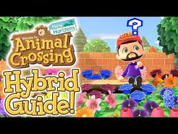 Hybrid Guide Quickest Combinations For All Flowers Acnh Tutorial Youtube In 2020 All Flowers Flower Guide Animal Crossing