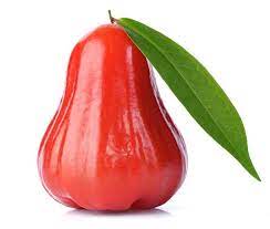 When growing roses in your yard, you also want to make sure that your dog doesn't ingest rose care products with disulfoton because they can be deadly. Can Dogs Eat Rose Apple Zooawesome