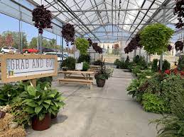 10 Restaurants With Outdoor Dining In Around Lansing Lansing Mom