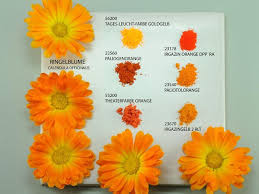 Colors Of Nature Kremer Pigmente Gmbh Co Kg Pigment Calendula Color