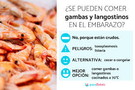 Se Pueden Comer Gambas Y Langostinos Embarazada