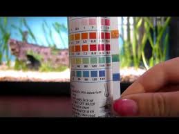Help With Water Parameters Tested With Api 5 In 1 Test