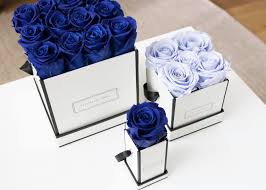 Notre fleuriste est un acteur majeur de la vente de fleurs en ligne sur internet, fleuriste pourquoi pas fleurs vous propose un service unique et remarquable, tant par la qualité du bouquet de fleurs que par la variété et l'originalité de sa collection, la fiabilité et la rapidité de l'envoi de fleurs. Fleurs De Paris By Combining Different Colour Shades And Box Sizes You Can Create Your Very Own Coffee Table Highlight Our Recommendation Ocean Blue And Cool Lavender Combined In Different Sizes