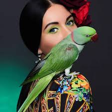 Parrot and person Images