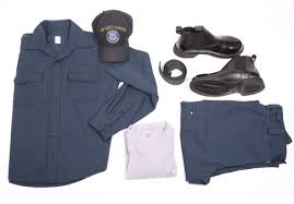 Image result for Midnight Blue 2018 Fleet