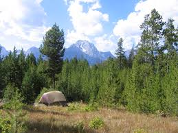 Our smoky mountain campground at greenbrier campground offers rv & tent camp sites, as well as cabin rentals. Signal Mountain Campground Grand Teton National Park U S National Park Service