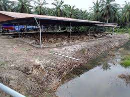 Sungai batu terletak di bukit batu pahat, merbok, kedah. Tapak Peleburan Besi Sungai Batu Bukti Kehebatan Tamadun Melayu Zaman Dahulu