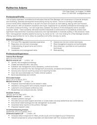Safety Director Resume Summary 2019 Safety Director Resume Example 2019 Safety Director Resume Template 2019 Best Resume Template Resume Summary Student Resume