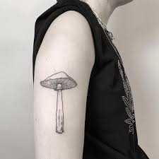 Take a look at the following list to get the ideas related to mushroom tattoo design. Minimalist Mushroom Tattoo On The Right Upper Arm Mushroom Tattoos Sick Tattoo Tattoos