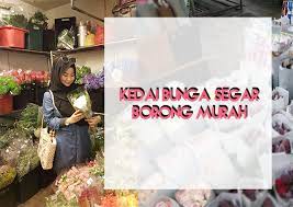 Check spelling or type a new query. Kedai Bunga Hidup Segar Harga Borong Di Petaling Street Pasar Seni Kuala Lumpur Farah Dafri