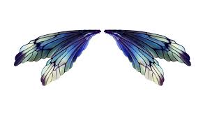 Fairy Wings 1 Feenflugel Zeichnung Flugel Silhouette