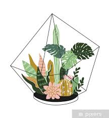 We did not find results for: Hand Drawn Contained Tropical House Plants Scandinavian Style Illustration Modern And Elegant Home Decor Vector Print Design With Terrarium With Tropical Plants Wall Mural Pixers We Live To Change