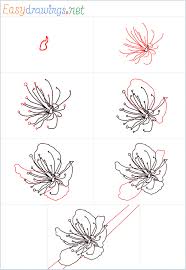 Cherry blossom branch drawing at getdrawings. How To Draw A Cherry Blossom Step By Step 7 Easy Phase