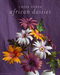 Shop all plants plants terrariums succulents. July Member Make Crepe Paper African Daisy Lia Griffith