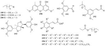 Image result for Vepris macedoi