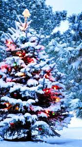 Only the best hd background pictures. Snow Christmas Iphone Wallpapers Top Free Snow Christmas Iphone Backgrounds Wallpaperaccess