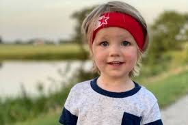 Fundraiser for Molly Taylor by Kate McPherson : Healing Hank