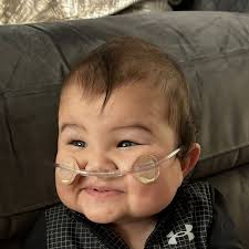 Robin Run 5K & Family Fun Day 2024