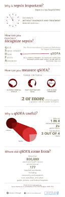 Qsofa What Is Qsofa