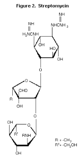 Image result for Streptomycin