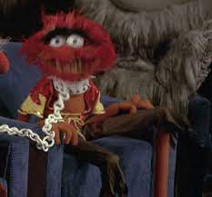 11 Animal Gifs That Are Perfect For Any Occasion Animal Muppet Disney Gif Funny The Muppet Show