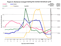 30 Methodical Estrogen Level During Pregnancy