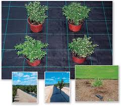 Evergreen flowers gardening landscaping perennials plants succulents tropical plants. China Weed Control Mat Ground Cover Silt Fence Black Pp Fabric Landscaping China Weed Control Mat Ground Cover