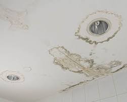 Reachout To Us If You Re In The Everett Based Area And Find Yourself Looking For Moldinspection Water Damaged Ceiling Water Stain On Ceiling Repair Ceilings