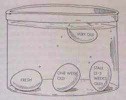 If the egg sinks to the bottom it's very fresh and should be good to use. Egguide Coolguides