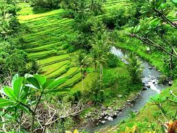 Fotografi tengara, jalan, terkepung, rumput, tengara, fotografi, alam, pemandangan pedesaan, pemandangan, langit, di luar rumah, musim panas, warna hijau, bidang. 23 Gambar Pemandangan Alam Pedesaan Indonesia Pemandangan Indah Sekali