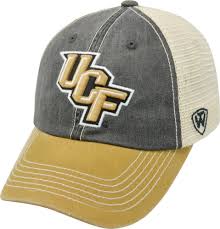 Saute until translucent, about 3 minutes. Pin On Gorras Joel