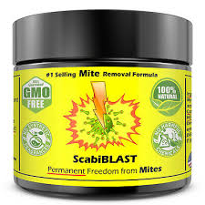 Permethrin is the drug of choice for the treatment of scabies. Scabies Treatment Cream Lotion Medication Natural Ointment Permanent Relief Fast 718356975254 Ebay