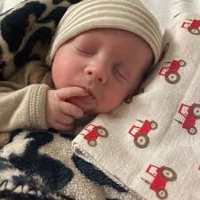 Who is a reliable hay supplier in the Lebanon area?