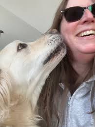 Paws Claws & Wagging Tails is always accepting new clients! Dogs, cats,  even rabbits, Guinea pigs, ferrets, lizards too. We offer nail trims, ear  cleanings, anal glands even lion cuts/ shavedowns for