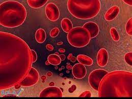 izlidot nomirt sargieties نزول دم بعد الدورة للمتزوجه ipoor org