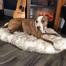 dlinnye plyushevye odeyala dlya koshek i sobak myagkie tonkie chehly dlya bolshih sobak odnotonnyj matras dlya koshek 5 dogs animals